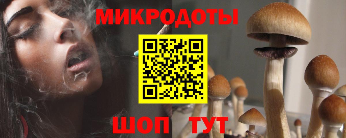 Мелеуз  Галлюциногенные грибы прущие грибы  Вход с VPN 